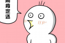 东宝如何避免债务纠纷？专业追讨公司教您应对之策